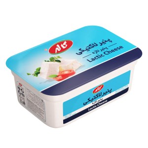 کاله پنیر لاکتیکی 300گ