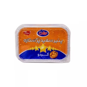 میهن پنیر پرستاره گردویی 200 گ