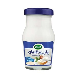 صباح پنیر خامه ای 140گ