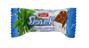 شیرین عسل شیرینی نارگیلی کاکائویی با روکش شکلات 18 گ