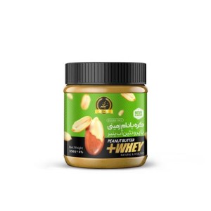 نیری کره بادام زمینی وی 350 گ