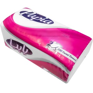 پاپیا دستمال کاغذی اقتصادی 250 برگ دو لایه