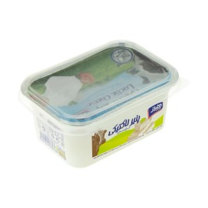 ایساتیس پنیر لاکتیکی 400 گ