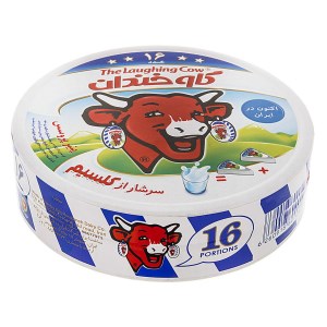 بل روزانه پنیر گاو خندان 16 عددی