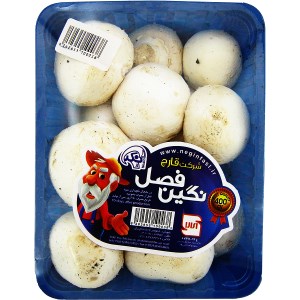 نگین فصل قارچ 400گ